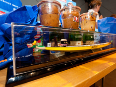 Stadtwerke Pokal, Copyright: SWS