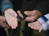 Kinder betrachten Schlange, Copyright: SWS